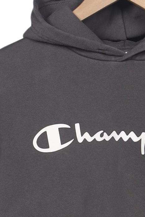 Champion Men Hoodie Gray M 4