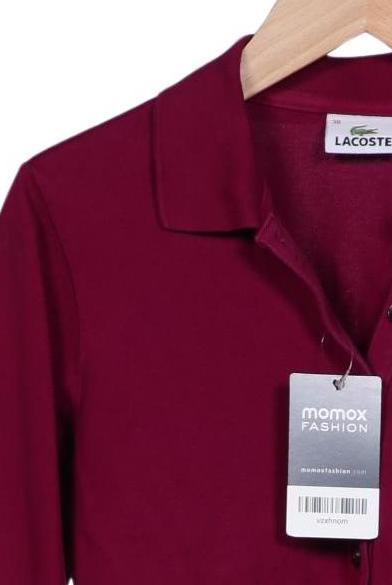 Lacoste Women's Polo Shirt Bordeaux EU 36 3