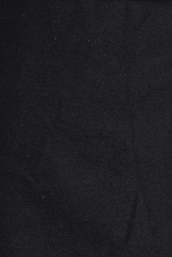 Massimo Dutti Women's Skirt Navy Blue Size XS 4