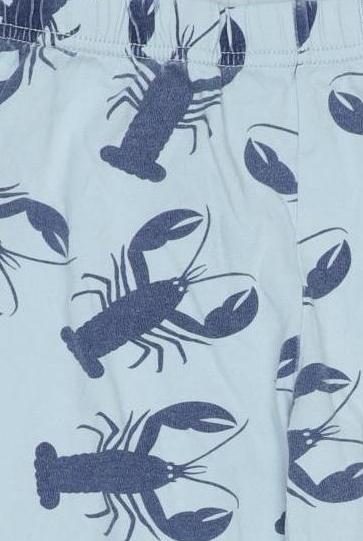 mini-boden-jungen-shorts-hellblau-0396101a-a97b-4022-8d8e-e1c6e56df104-image-1