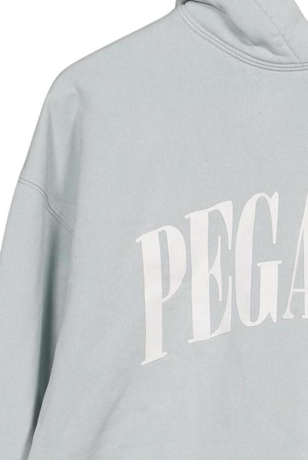 pegador-herren-kapuzenpullover-hellblau-29c1bc74-56aa-4e74-ae7c-d7d93adb7127-image-2